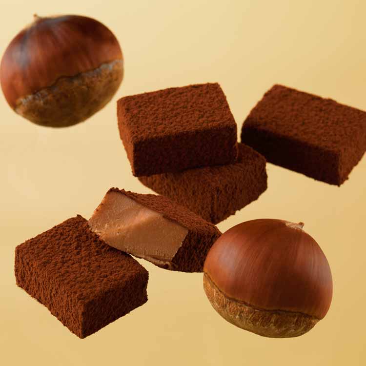LIMITED - Royce Nama Chocolate (Chestnut) - Best Before 01 Nov 2023