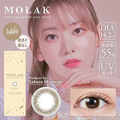 MOLAK 1day 10P Tint Brown