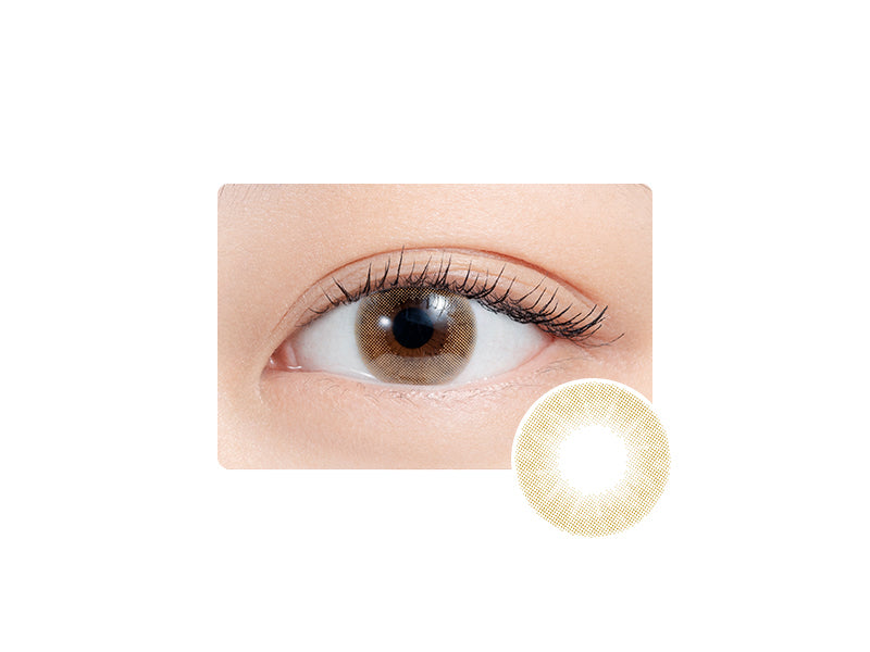 N's collection 1 Days Color Contact Lens | Yakisoba Pan 10 pcs